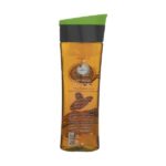 شامپو کراتینه آردن هرباسنس مغذی مو با عصاره روغن آرگان و جوانه گندم